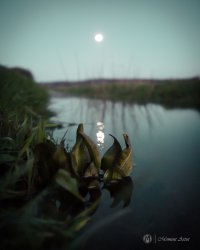 Das Mondlicht umarmen
